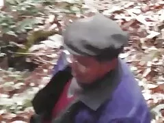 Lesy série - divokého lesa